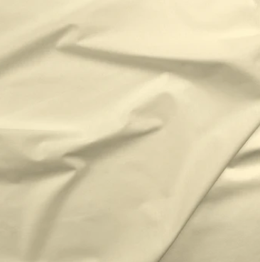 Paintbrush Studios Fabric: Painters Palette Solid: Snow 121091