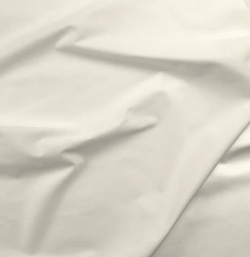 Paintbrush Studios Fabric: Painters Palette Solid: Linen 121121